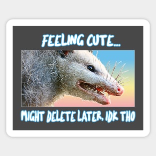 Feeling Cute, Might Delete Later - Funny Possum Design Sticker